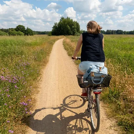 Sonnenaufgangsgenuss Harriersand Schwanewede