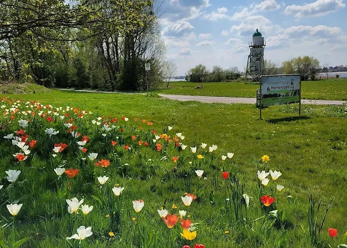 Sonnenaufgangsgenuss Harriersand * Schwanewede
