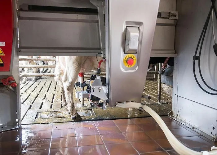 Apartman Sonnenaufgangsgenuss Harriersand Schwanewede