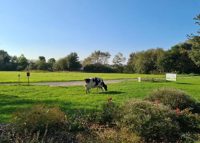 Sonnenaufgangsgenuss Harriersand Apartman *