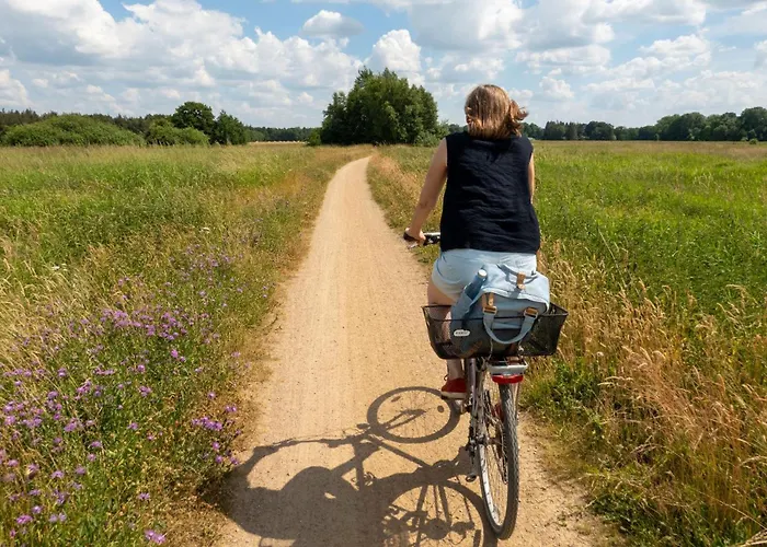 Sonnenaufgangsgenuss Harriersand Schwanewede
